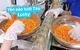 TÂM TƯ NGƯỜI LÀM YẾN VÀ NGƯỜI MUA YẾN