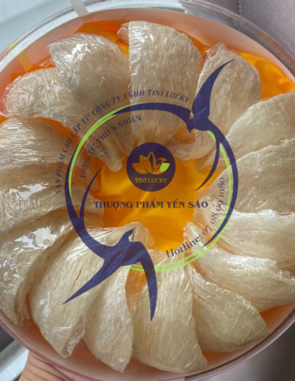 Yến Sào - Rút Lông Khô Tini Nest
