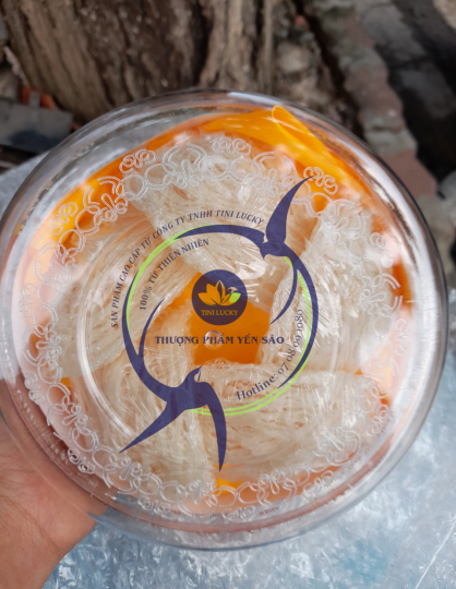 Yến Sào - Rút Lông Xương Tini Nest