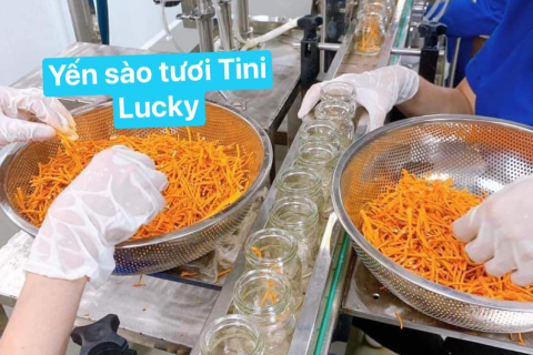 TÂM TƯ NGƯỜI LÀM YẾN VÀ NGƯỜI MUA YẾN