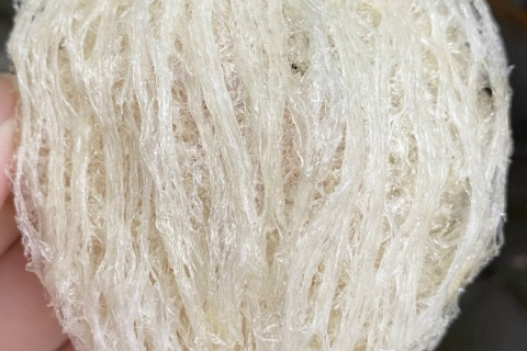 YẾN SÀO ĐƯỢC MỆNH DANH LÀ TIÊN DƯỢC!