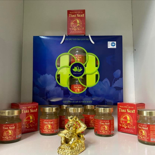 Tini Nest Nhân Sâm