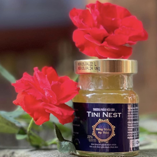 Tini Nest Đông Trùng Hạ Thảo
