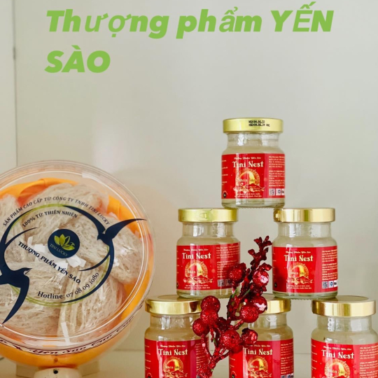 Tini Nest Nhân Sâm
