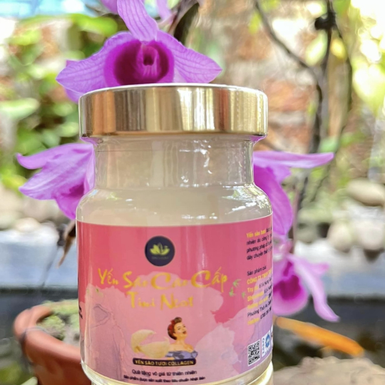 Tini Nest Collagen
