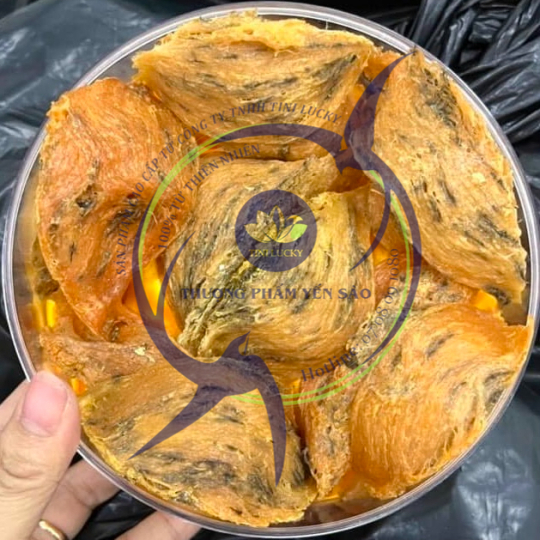 Yến Sào - Thô Cam Tini Nest