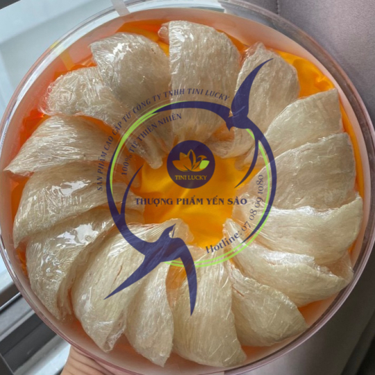 Yến Sào - Rút Lông Khô Tini Nest
