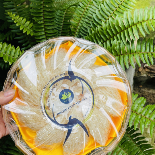 Yến Sào - Rút Lông Nguyên Tổ Tini Nest