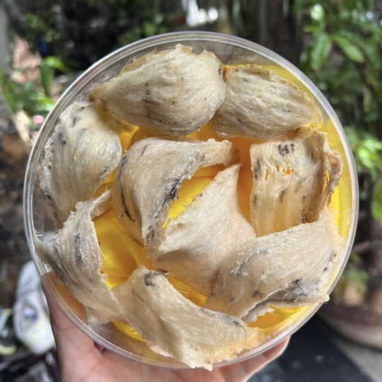 Yến Sào - Rút Lông Khô Tini Nest