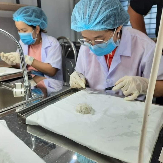 Yến Sào - Tinh Chế B 1 Mặt Sợi Tini Nest